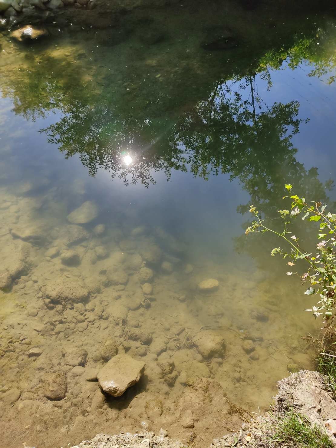 28.07.2020 belbek