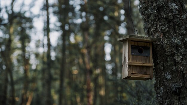 close up of a wooden bird feeder 23 2147831052