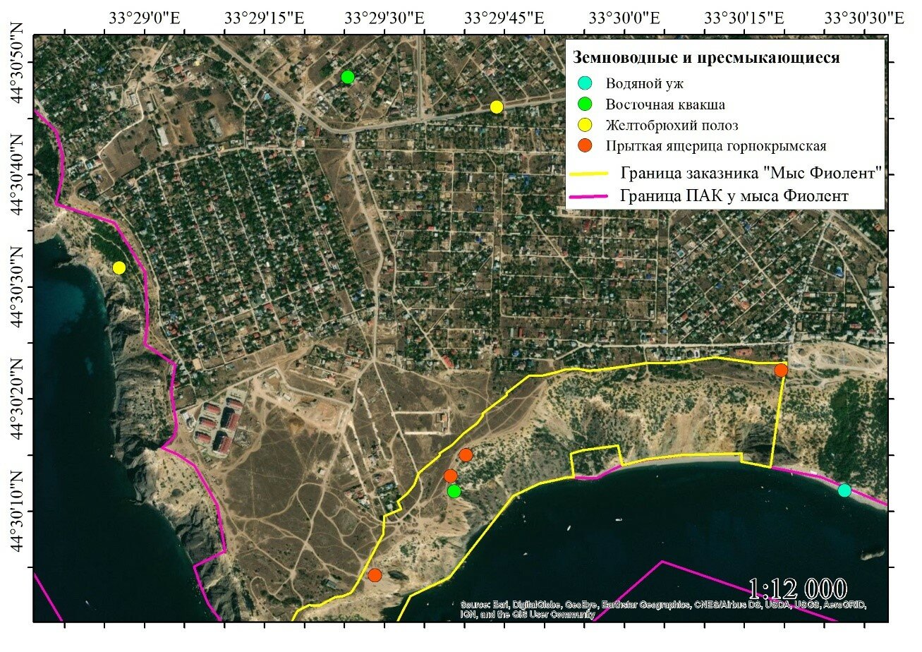 mesta zemnovodnyh i presmykayuschihsya